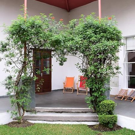 La Casa De Las Magnolias Otel Coyoacan Dış mekan fotoğraf