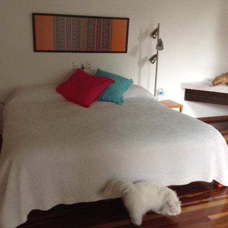La Casa De Las Magnolias Otel Coyoacan Dış mekan fotoğraf