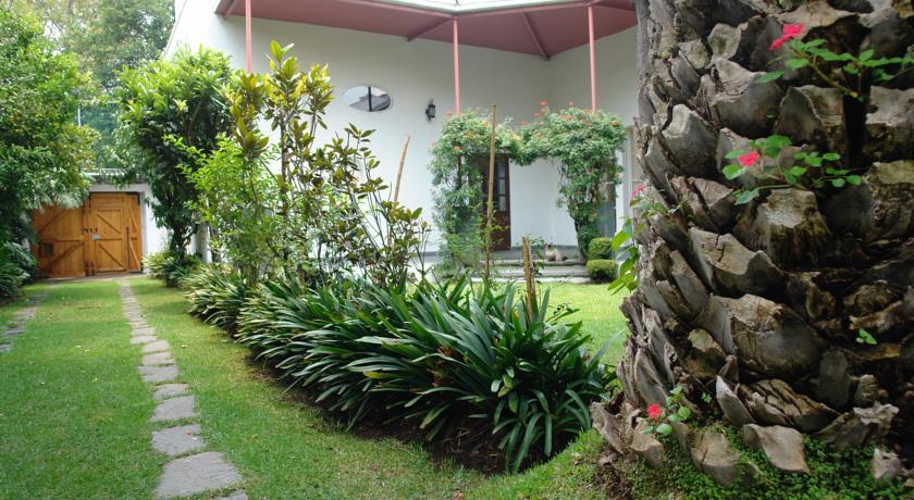 La Casa De Las Magnolias Otel Coyoacan Dış mekan fotoğraf