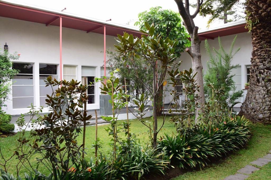 La Casa De Las Magnolias Otel Coyoacan Dış mekan fotoğraf