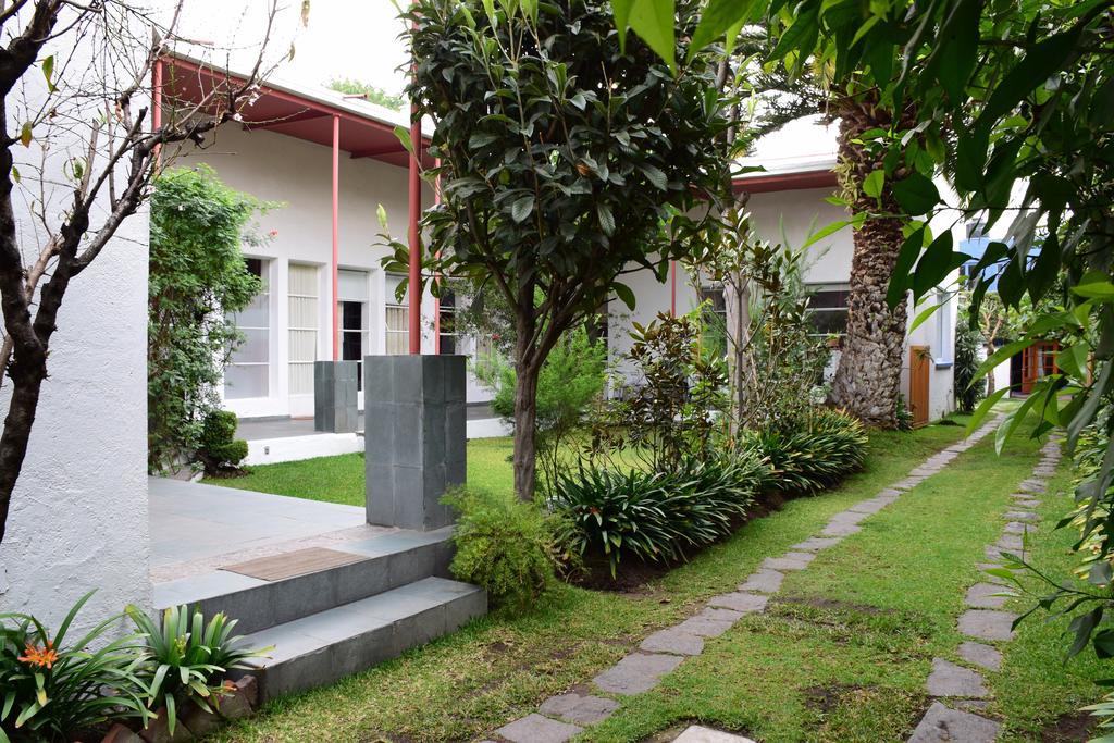La Casa De Las Magnolias Otel Coyoacan Dış mekan fotoğraf