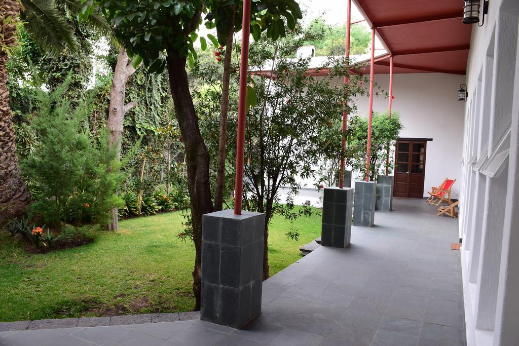 La Casa De Las Magnolias Otel Coyoacan Dış mekan fotoğraf