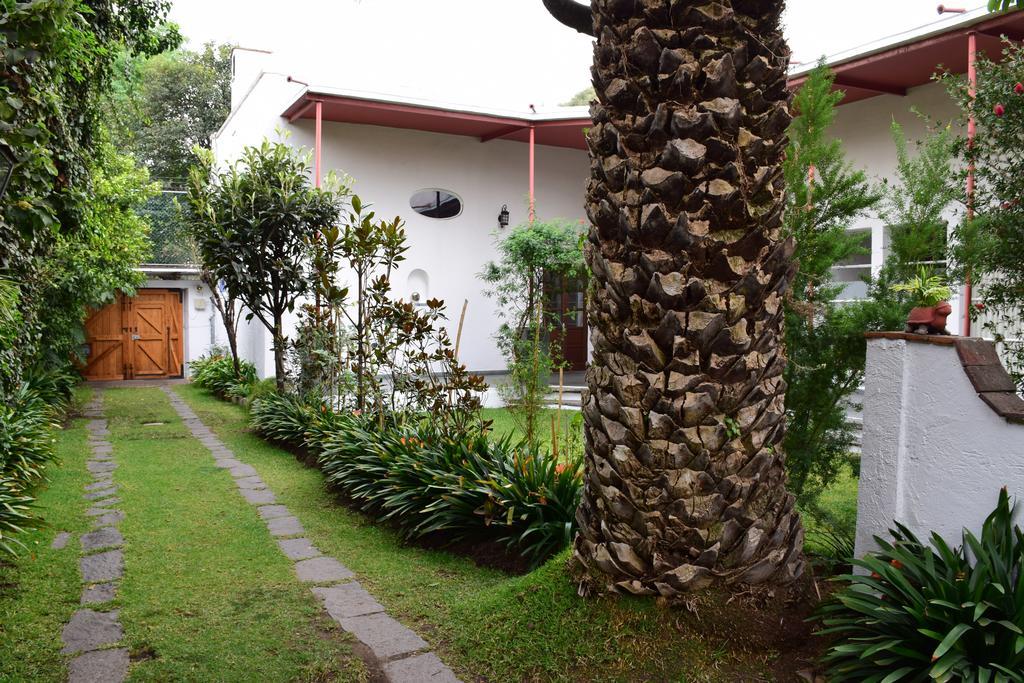La Casa De Las Magnolias Otel Coyoacan Dış mekan fotoğraf
