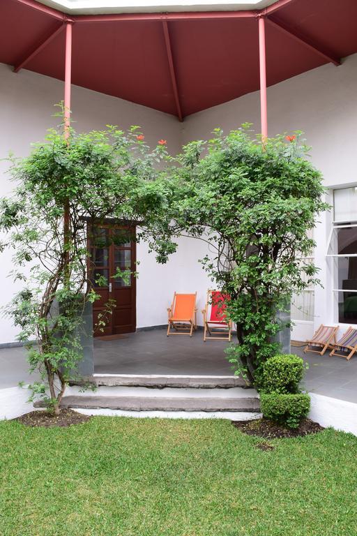 La Casa De Las Magnolias Otel Coyoacan Dış mekan fotoğraf