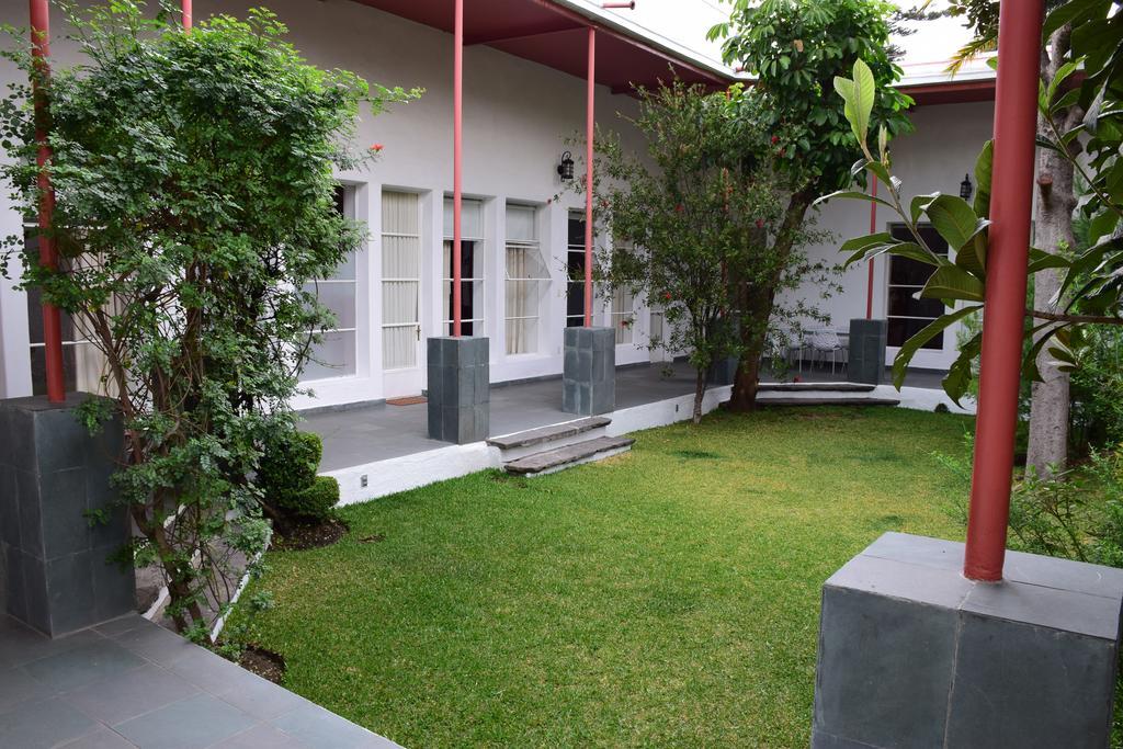 La Casa De Las Magnolias Otel Coyoacan Dış mekan fotoğraf