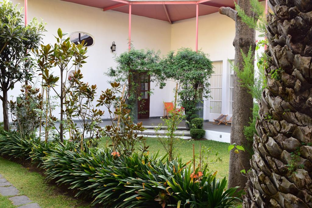 La Casa De Las Magnolias Otel Coyoacan Dış mekan fotoğraf
