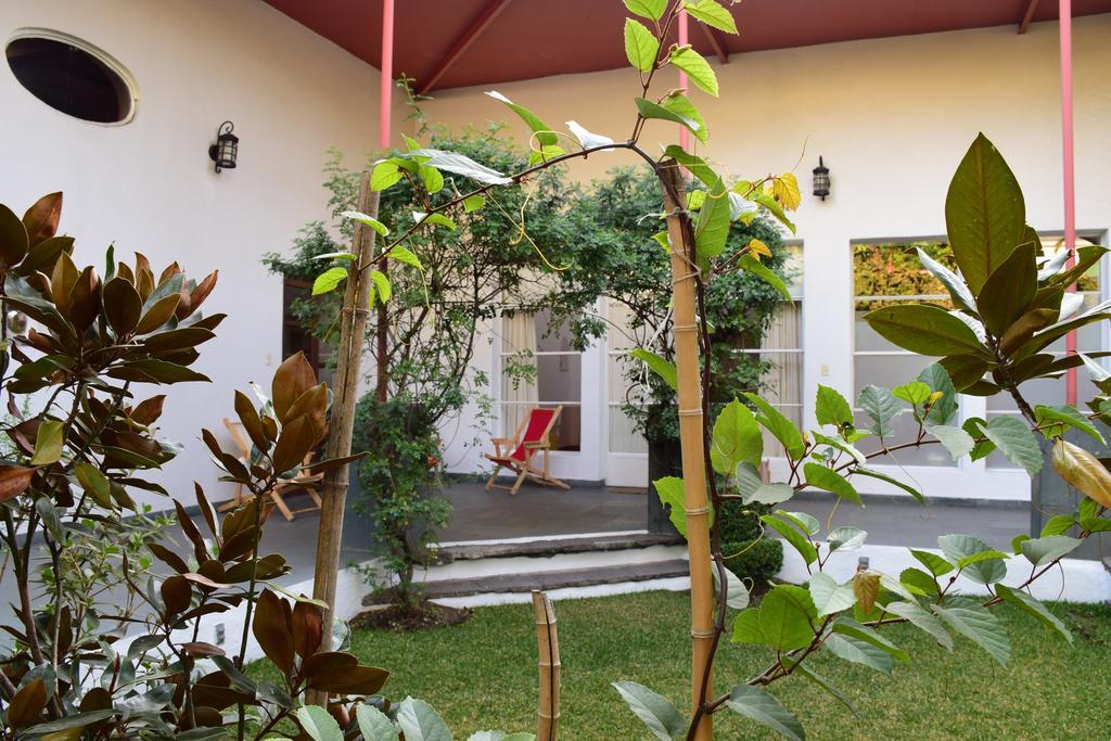 La Casa De Las Magnolias Otel Coyoacan Dış mekan fotoğraf