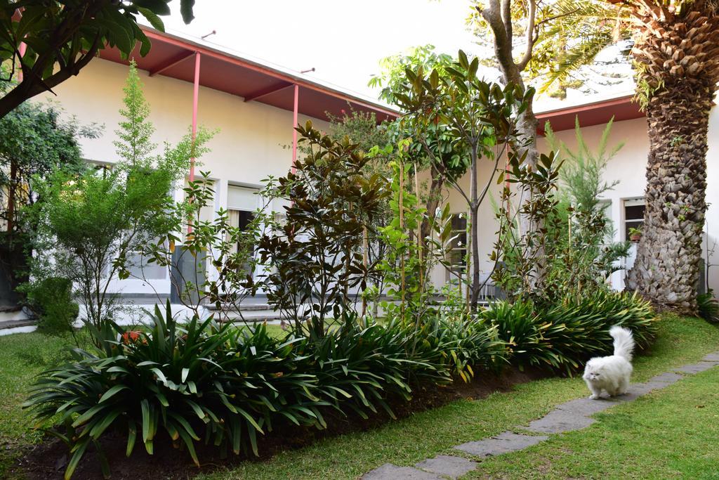 La Casa De Las Magnolias Otel Coyoacan Dış mekan fotoğraf