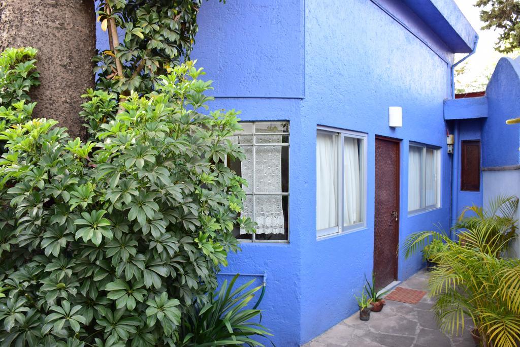La Casa De Las Magnolias Otel Coyoacan Dış mekan fotoğraf