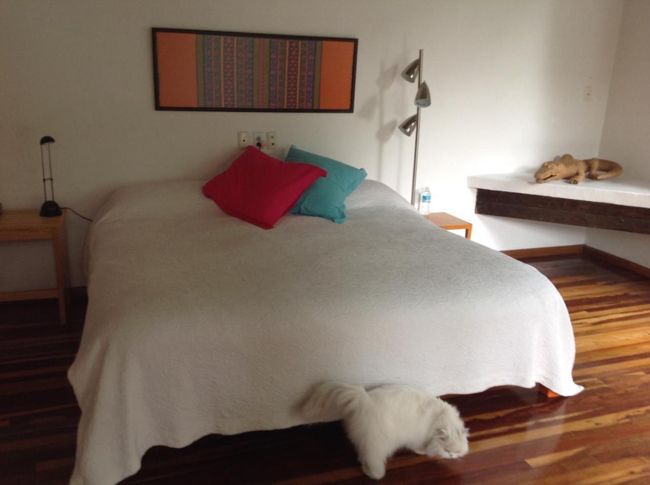 La Casa De Las Magnolias Otel Coyoacan Dış mekan fotoğraf